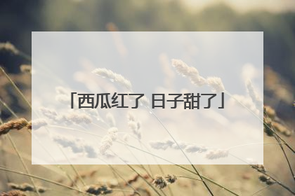 西瓜红了 日子甜了