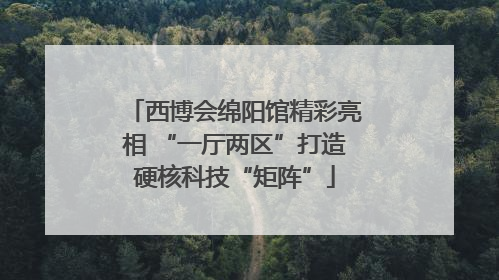 西博会绵阳馆精彩亮相 “一厅两区”打造硬核科技“矩阵”