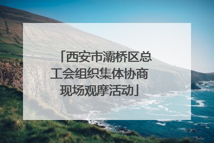 西安市灞桥区总工会组织集体协商现场观摩活动