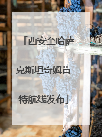 西安至哈萨克斯坦奇姆肯特航线发布