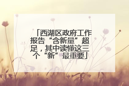 西湖区政府工作报告“含新量”超足，其中读懂这三个“新”最重要