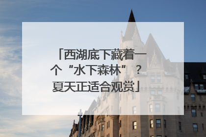 西湖底下藏着一个“水下森林”？夏天正适合观赏