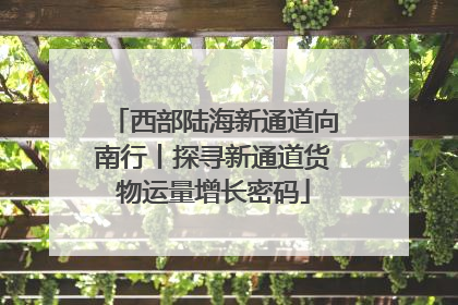 西部陆海新通道向南行丨探寻新通道货物运量增长密码