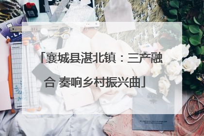 襄城县湛北镇：三产融合 奏响乡村振兴曲