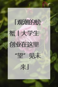 观潮的螃蟹丨大学生创业在这里“望”见未来