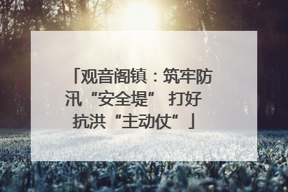 观音阁镇：筑牢防汛“安全堤” 打好抗洪“主动仗”