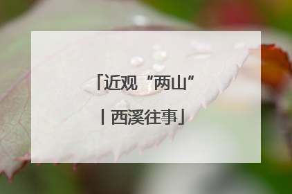 近观“两山”丨西溪往事