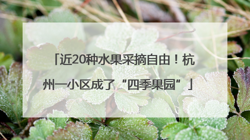 近20种水果采摘自由！杭州一小区成了“四季果园”