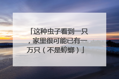 这种虫子看到一只，家里很可能已有一万只（不是蟑螂）