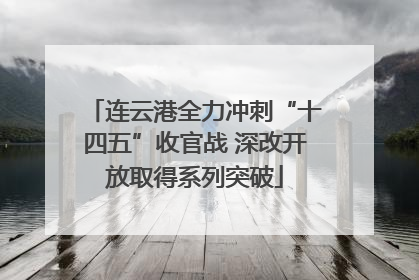 连云港全力冲刺“十四五”收官战 深改开放取得系列突破