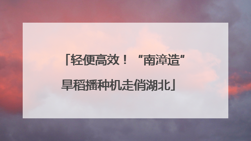 轻便高效！“南漳造”旱稻播种机走俏湖北