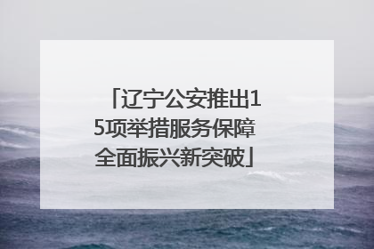 辽宁公安推出15项举措服务保障全面振兴新突破
