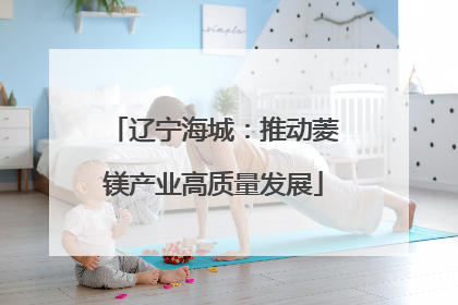 辽宁海城：推动菱镁产业高质量发展