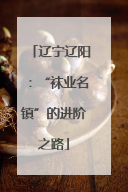 辽宁辽阳：“袜业名镇”的进阶之路