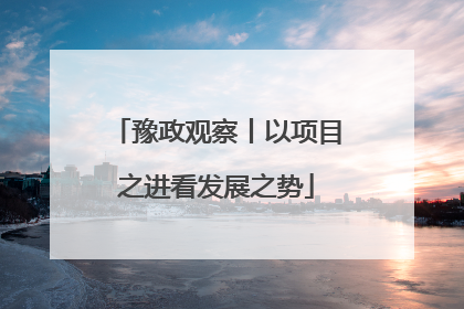 豫政观察丨以项目之进看发展之势