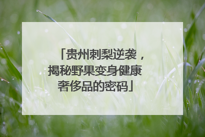 贵州刺梨逆袭，揭秘野果变身健康奢侈品的密码