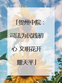贺州中院：司法为民践初心 文明花开耀天平