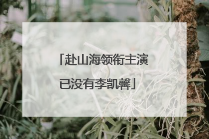 赴山海领衔主演已没有李凯馨