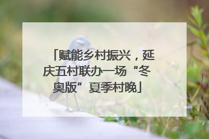 赋能乡村振兴，延庆五村联办一场“冬奥版”夏季村晚