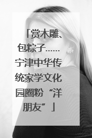 赏木雕、包粽子……宁津中华传统家学文化园圈粉“洋朋友”