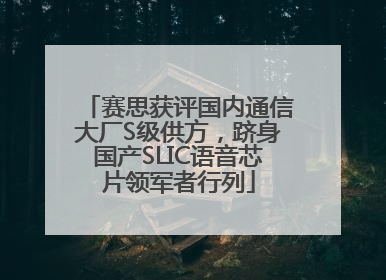 赛思获评国内通信大厂S级供方，跻身国产SLIC语音芯片领军者行列