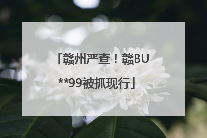 赣州严查！赣BU**99被抓现行