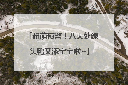 超萌预警！八大处绿头鸭又添宝宝啦~