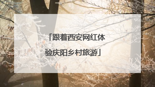 跟着西安网红体验庆阳乡村旅游