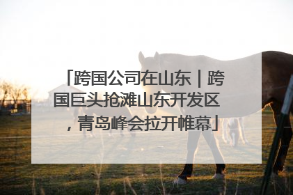 跨国公司在山东｜跨国巨头抢滩山东开发区，青岛峰会拉开帷幕