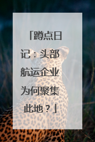 蹲点日记：头部航运企业为何聚集此地？