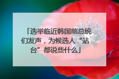 选举临近韩国前总统们发声，为候选人“站台”都说些什么