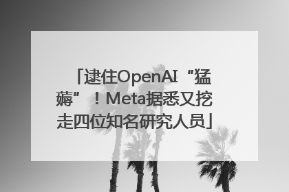 逮住OpenAI“猛薅”！Meta据悉又挖走四位知名研究人员