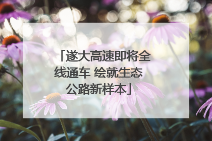 遂大高速即将全线通车 绘就生态公路新样本