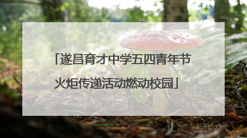 遂昌育才中学五四青年节火炬传递活动燃动校园