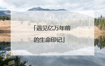 遇见亿万年前的生命印记