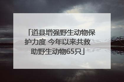 道县增强野生动物保护力度 今年以来共救助野生动物65只