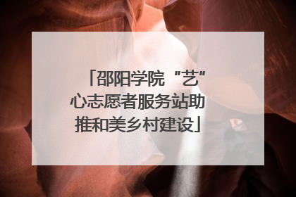 邵阳学院“艺”心志愿者服务站助推和美乡村建设