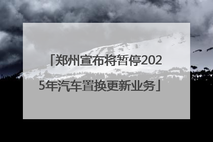郑州宣布将暂停2025年汽车置换更新业务