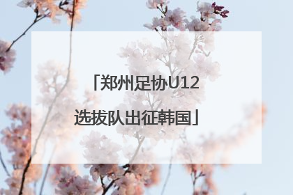 郑州足协U12选拔队出征韩国