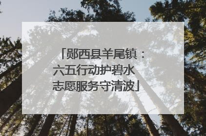 郧西县羊尾镇：六五行动护碧水 志愿服务守清波