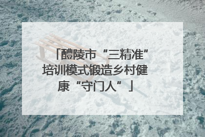 醴陵市“三精准”培训模式锻造乡村健康“守门人”
