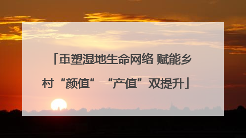 重塑湿地生命网络 赋能乡村“颜值”“产值”双提升