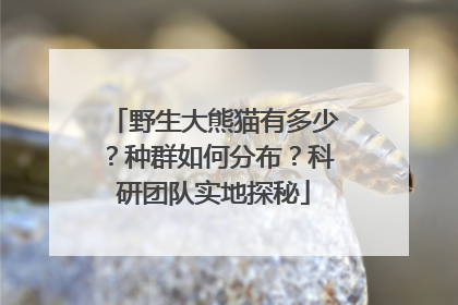 野生大熊猫有多少？种群如何分布？科研团队实地探秘