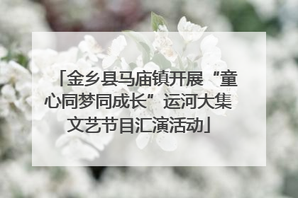 金乡县马庙镇开展“童心同梦同成长”运河大集文艺节目汇演活动