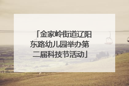 金家岭街道辽阳东路幼儿园举办第二届科技节活动