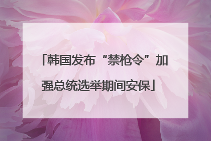 韩国发布“禁枪令”加强总统选举期间安保