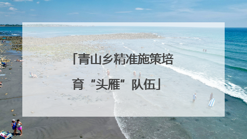 青山乡精准施策培育“头雁”队伍