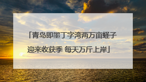 青岛即墨丁字湾两万亩蛏子迎来收获季 每天万斤上岸