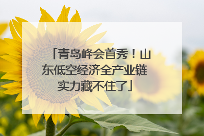 青岛峰会首秀！山东低空经济全产业链实力藏不住了