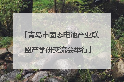 青岛市固态电池产业联盟产学研交流会举行